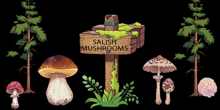 Intro to PNW Mushrooms – Replay