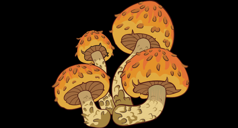 Elementary Mushrooms v1.1