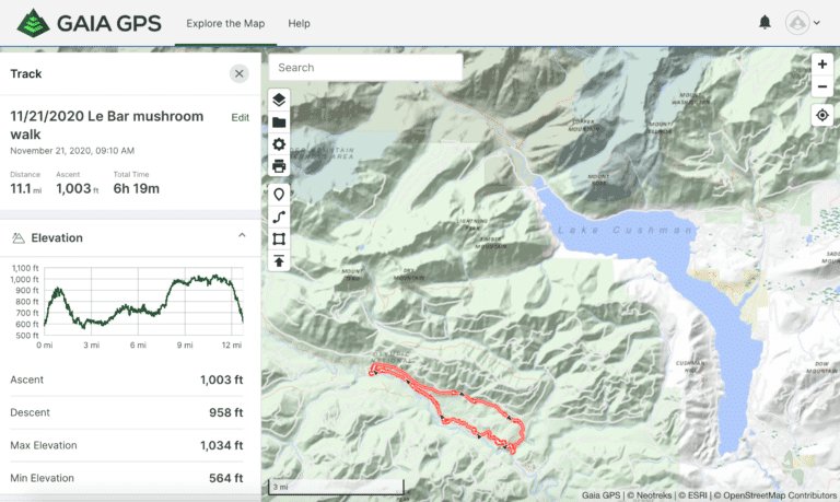 South Fork Skokomish – Olympics