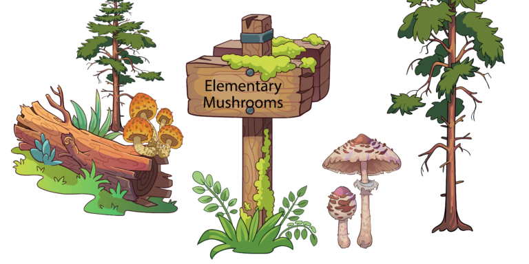 Elementary Mushrooms 1.2