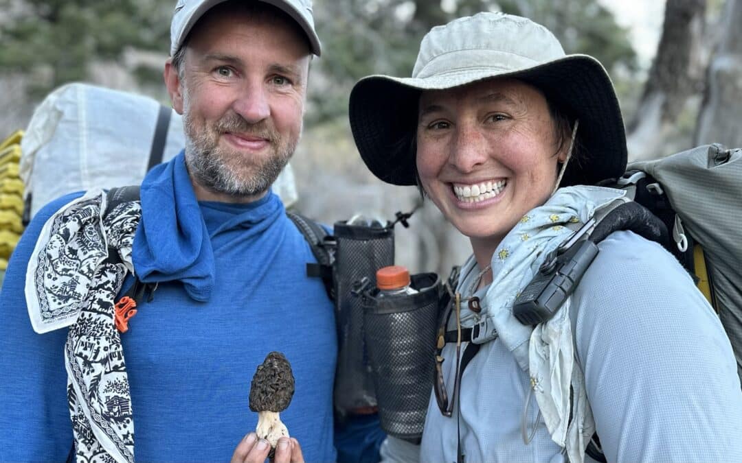 Mushrooms of the Pacific Crest Trail