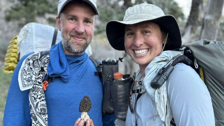 Mushrooms of the Pacific Crest Trail