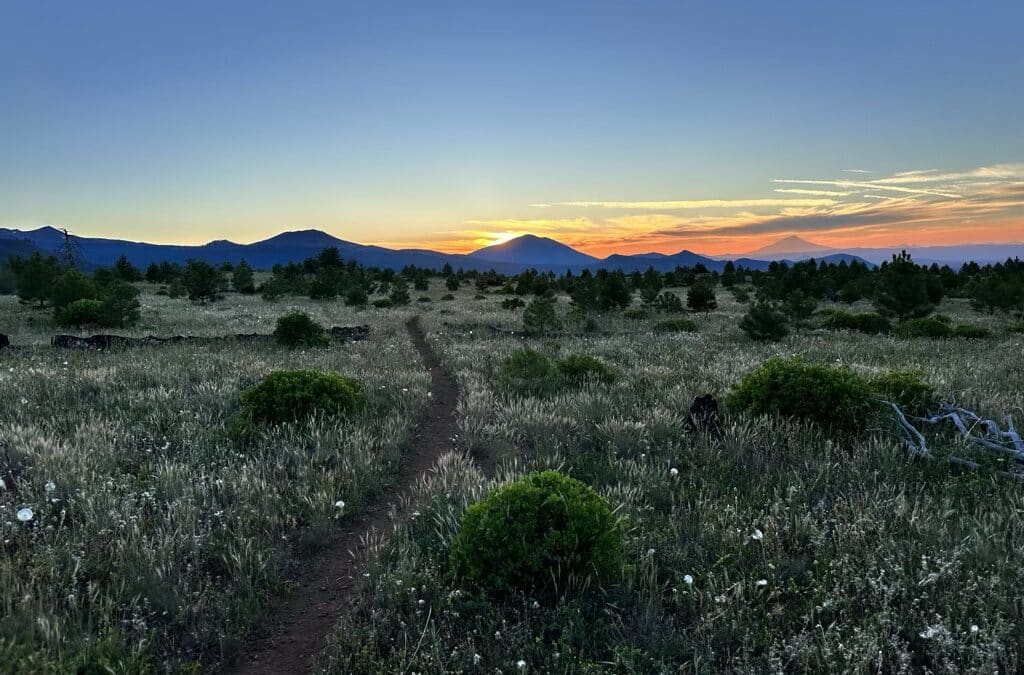 Trail Video – Quincy to Castle Crags