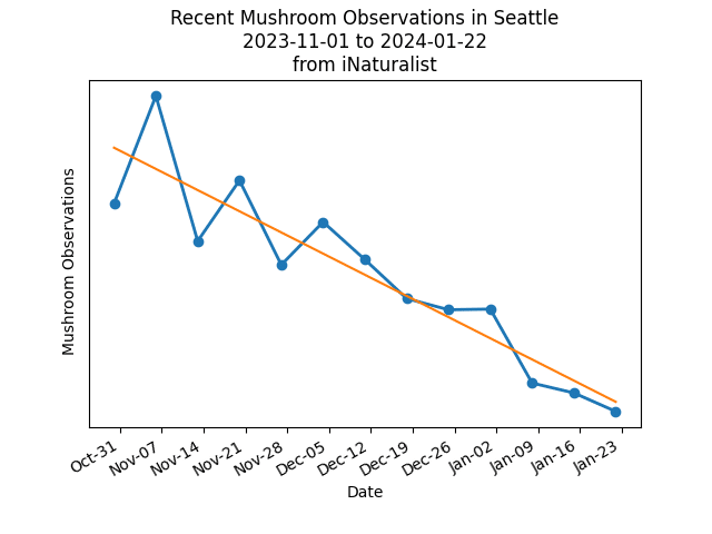 Mushroom Conditions Seattle Jan 23 2024
