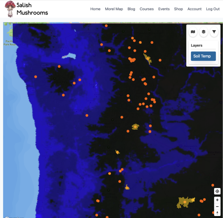 Soil Temperature Estimate Map