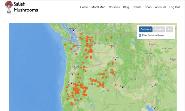 2025 Morel Maps