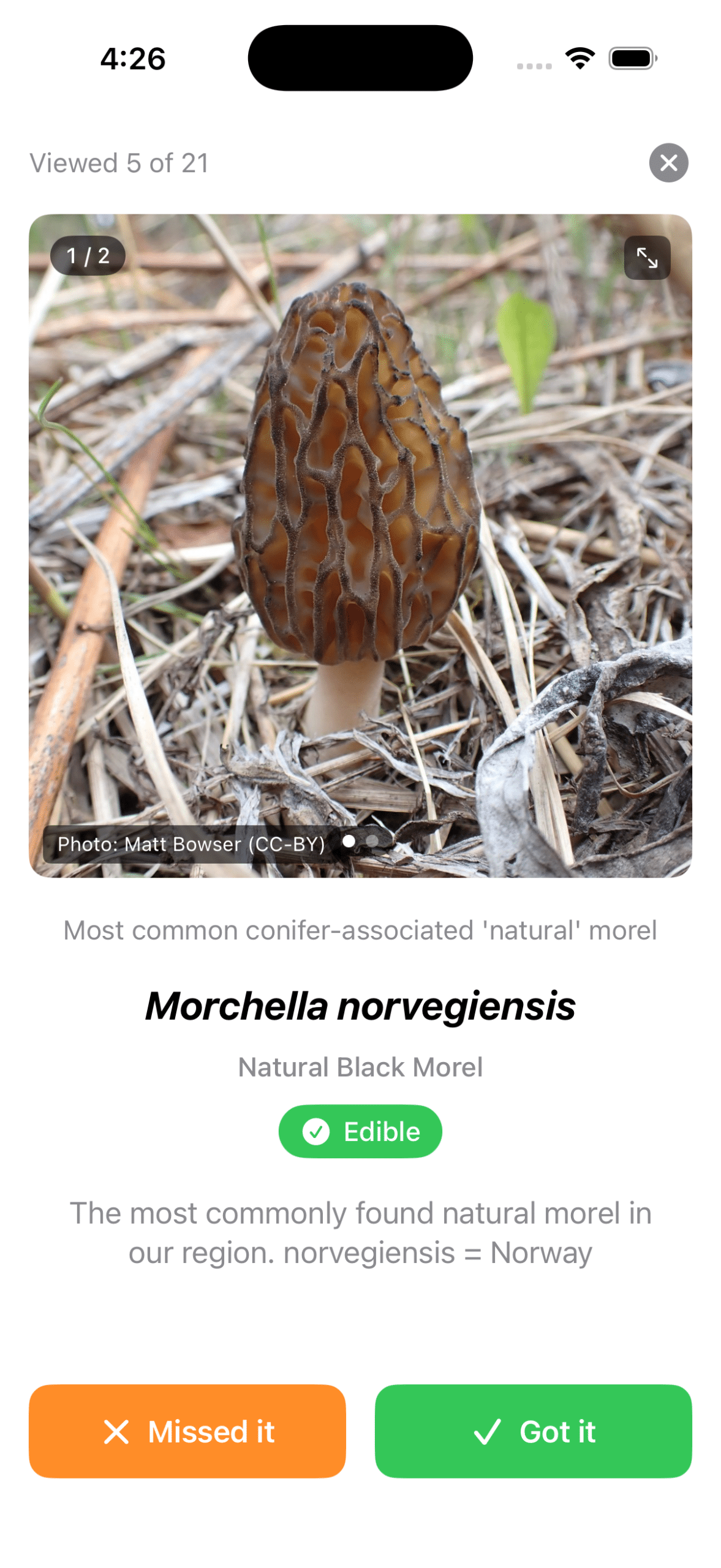 ForayzU flashcard app screenshot