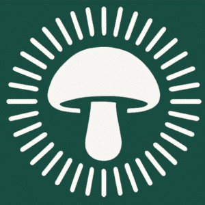 Pro Membership (1 Year)