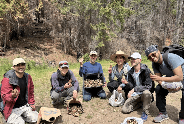 Morel foraging this weekend near Leavenworth