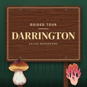Trail sign reading “Darrington” — guided mushroom tour with Salish Mushrooms