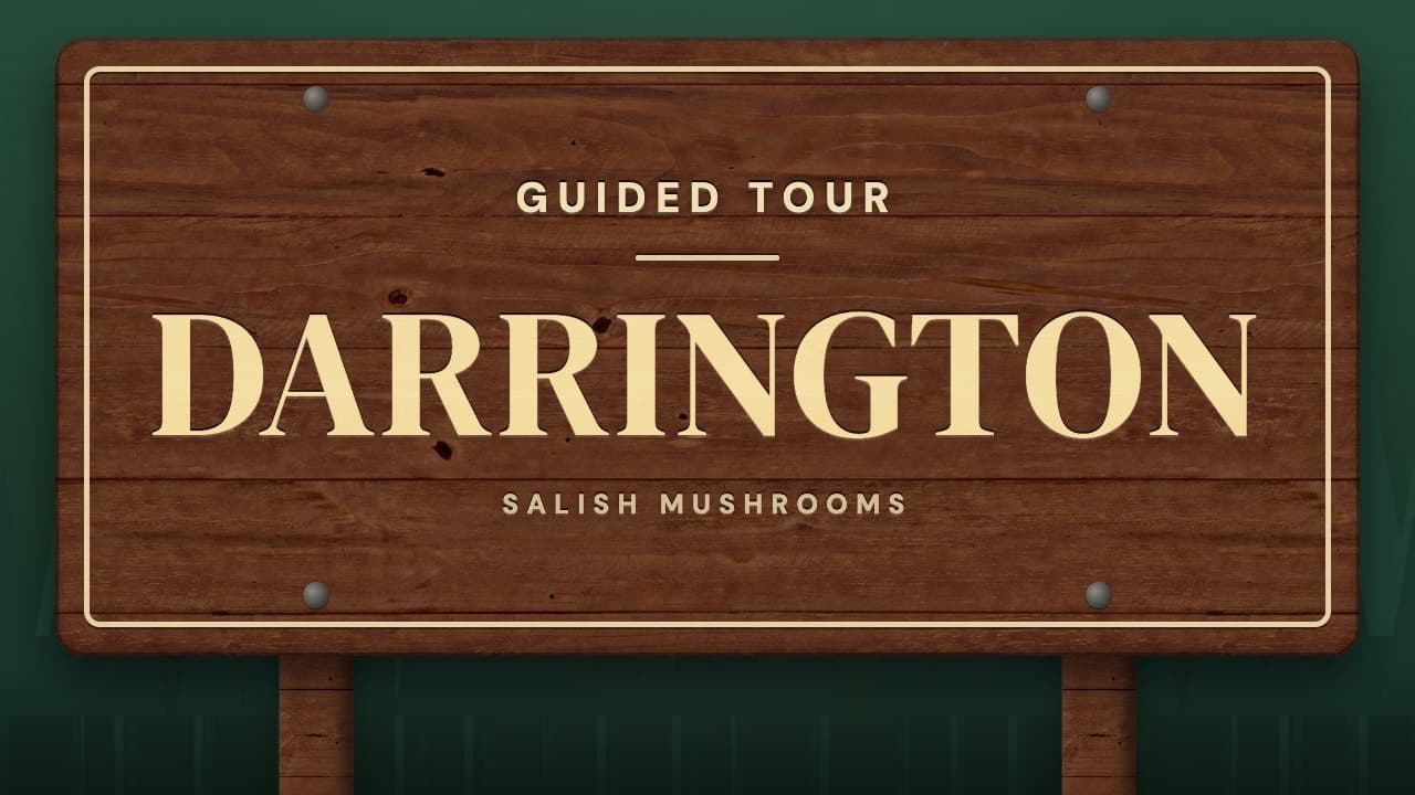 Trail sign reading “Darrington” — guided mushroom tour with Salish Mushrooms