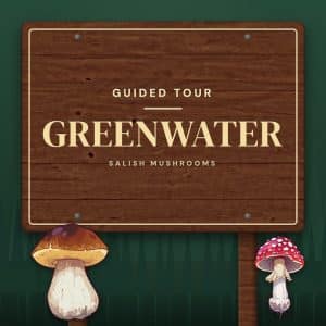 Trail sign reading “Greenwater” — guided mushroom tour with Salish Mushrooms