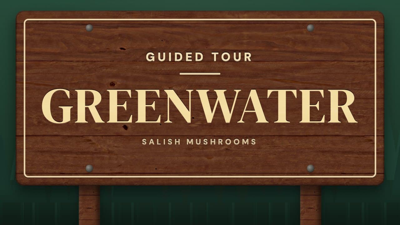 Trail sign reading “Greenwater” — guided mushroom tour with Salish Mushrooms