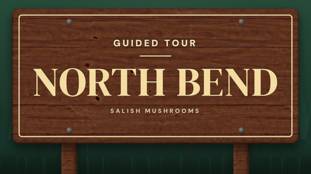 Trail sign reading “North Bend” — guided mushroom tour with Salish Mushrooms
