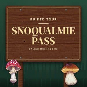 Trail sign reading “Snoqualmie Pass” — guided mushroom tour with Salish Mushrooms