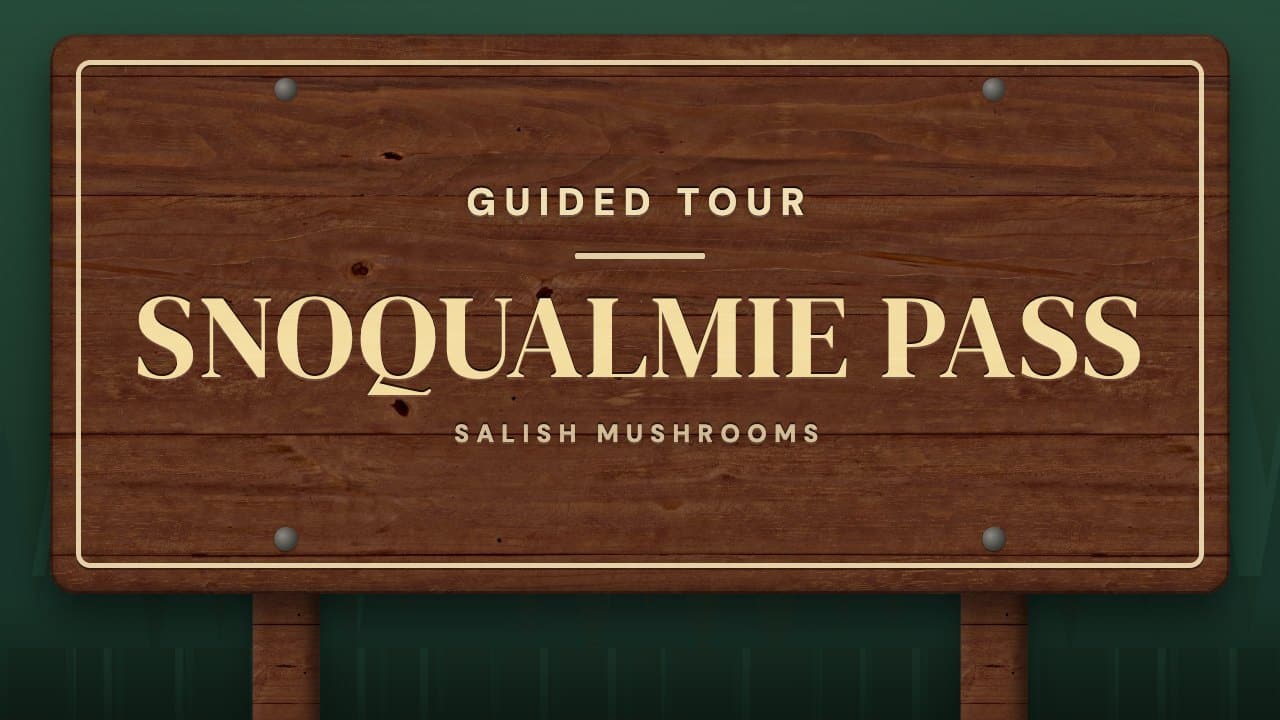 Trail sign reading “Snoqualmie Pass” — guided mushroom tour with Salish Mushrooms